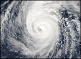 Typhoon Parma