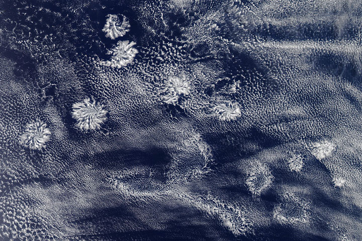Cloud Rosettes in the Sky