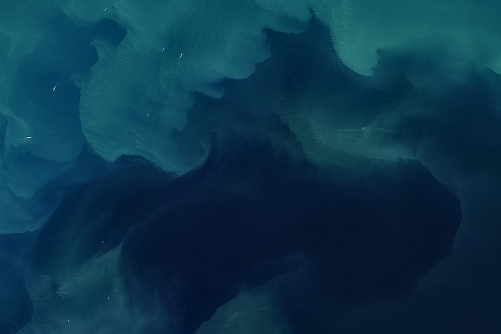 A Sea of Color and Wind