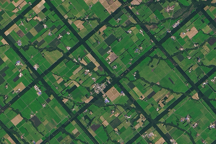 A Windbreak Grid in Hokkaido