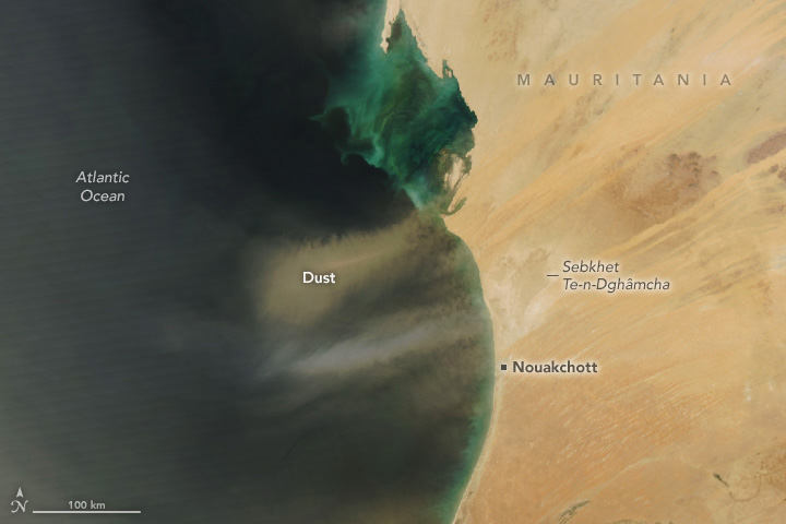 Dust streams over Mauritania and over the Atlantic Ocean in a satellite image captured by the Aqua satellite on February 25, 2025. Two separate dust plumes are visible. One farther to the north is orange; a second plume near the city of Nouakchott has whitish dust.