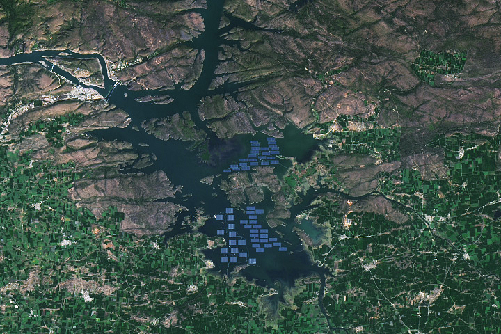 Floating Solar in Madhya Pradesh