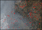 Spring Fires in Western Russia