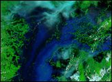 Floods in Bangladesh