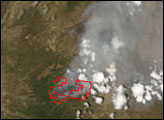 Bear Fire in Western New Mexico