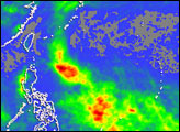 Typhoon Ewiniar