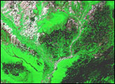 Araca River
