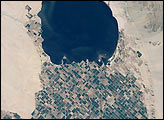 Imperial Valley and Salton Sea, California