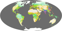 Human Ecosystems