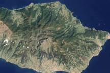 A Living Relic: Madeira’s Laurissilva Forest