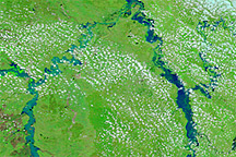 Flooding in Queensland