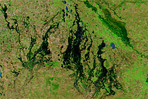 Flooding in Victoria