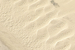 The Algodones Dunes