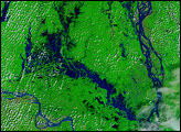 Flooding in Bangladesh