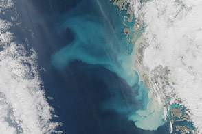 Sediment Plumes Around Greenland