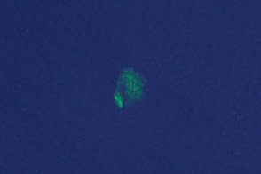 Finding Cortez