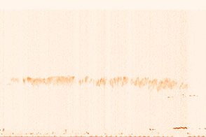 A Slice of Cirrus 