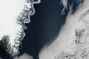 Swirling Sea Ice in the Greenland Sea 