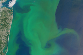 Blooms off Both North American Coasts