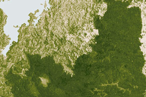 Cutting into Africa’s Green Heart